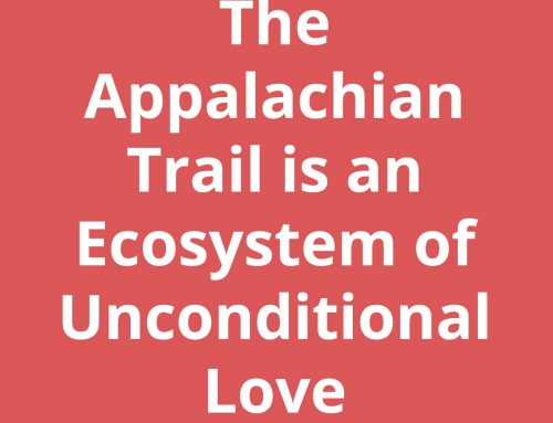 Hiking the AT – The Appalachian Trail is an Ecosystem of Unconditional Love
