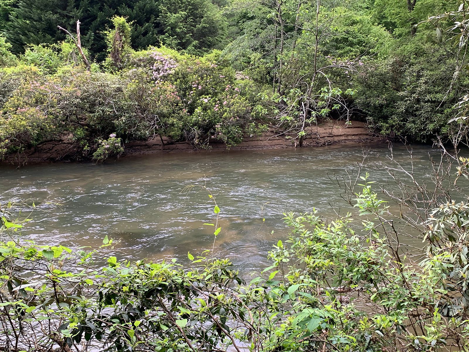 Coosawattee River Resort Lot for Sale Coming Soon Todd Withrow